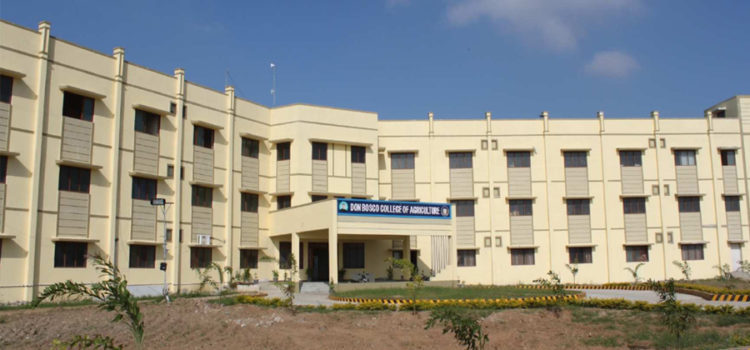 College & Administrative Building
